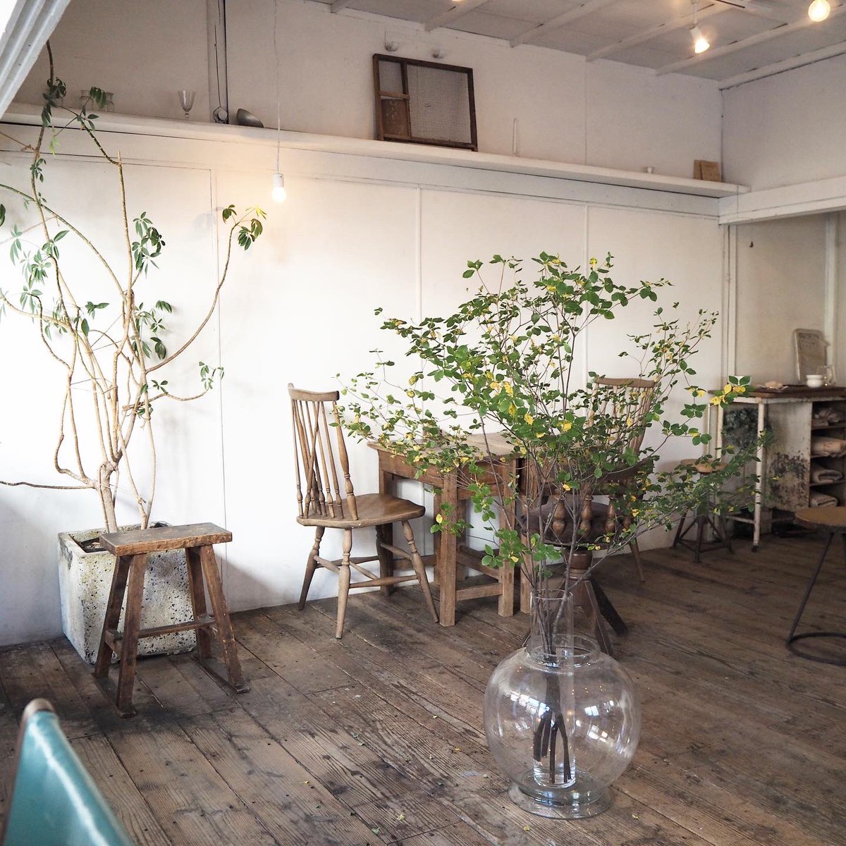 寺崎コーヒーさん、とてもおしゃれで居心地の良い空間でした🫧
甲府すてきなカフェがたくさんで楽しかったな〜