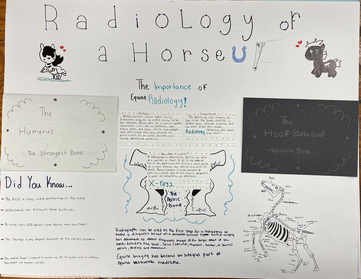 FarrahJohnson4's tweet photo. Our top 3 winning posters!! Congratulations to Emily Smith, Emma Hines and Emma Shearer! They will represent us at
The Volusia County Fair for the FFA Ag Ed poster contest! @deltonasrFFA @DHSHappenings @MikeMicallef1 https://t.co/HXtZb0LWNc