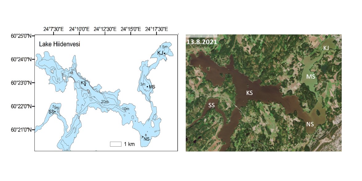 tomjilbert's tweet photo. We have been studying this lake in collaboration with researchers at @AFRY_global and #LUVY. Note how the shallow basins Kirkkojärvi (KJ) and Mustionselkä (MS) in the northeast are much more strongly affected by summer algal blooms than the deeper Kiihkelyksenselkä (KS). 2/6 https://t.co/tu1UBGrVhs