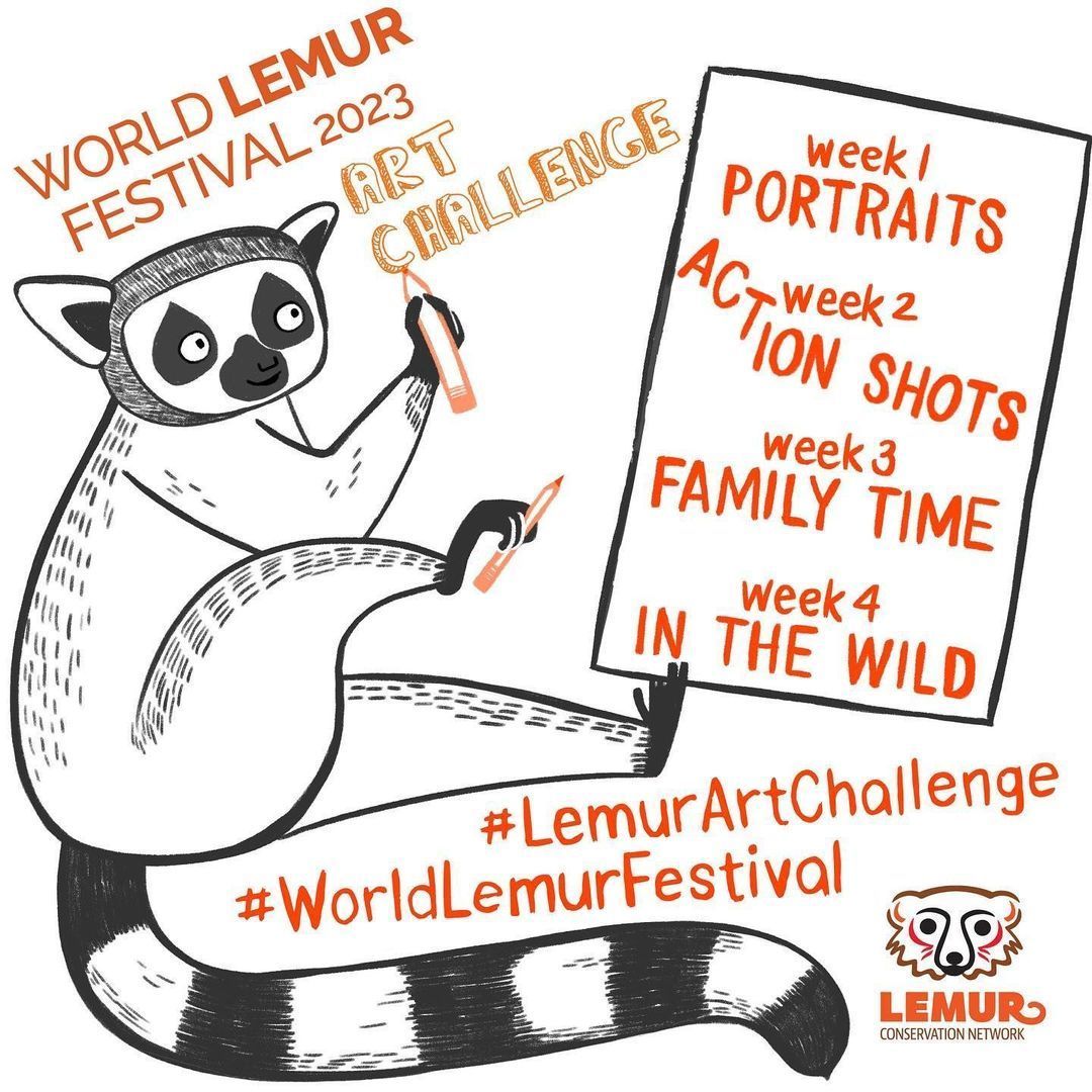 That's wild! It's the final week of the #WorldLemurFestival #LemurArtChallenge and the theme is "In the wild"!  To be entered in our drawing for #lemur gear, post your work on Twitter, Instagram, or Facebook with the hashtag #WorldLemurFestival and #LemurArtChallenge!