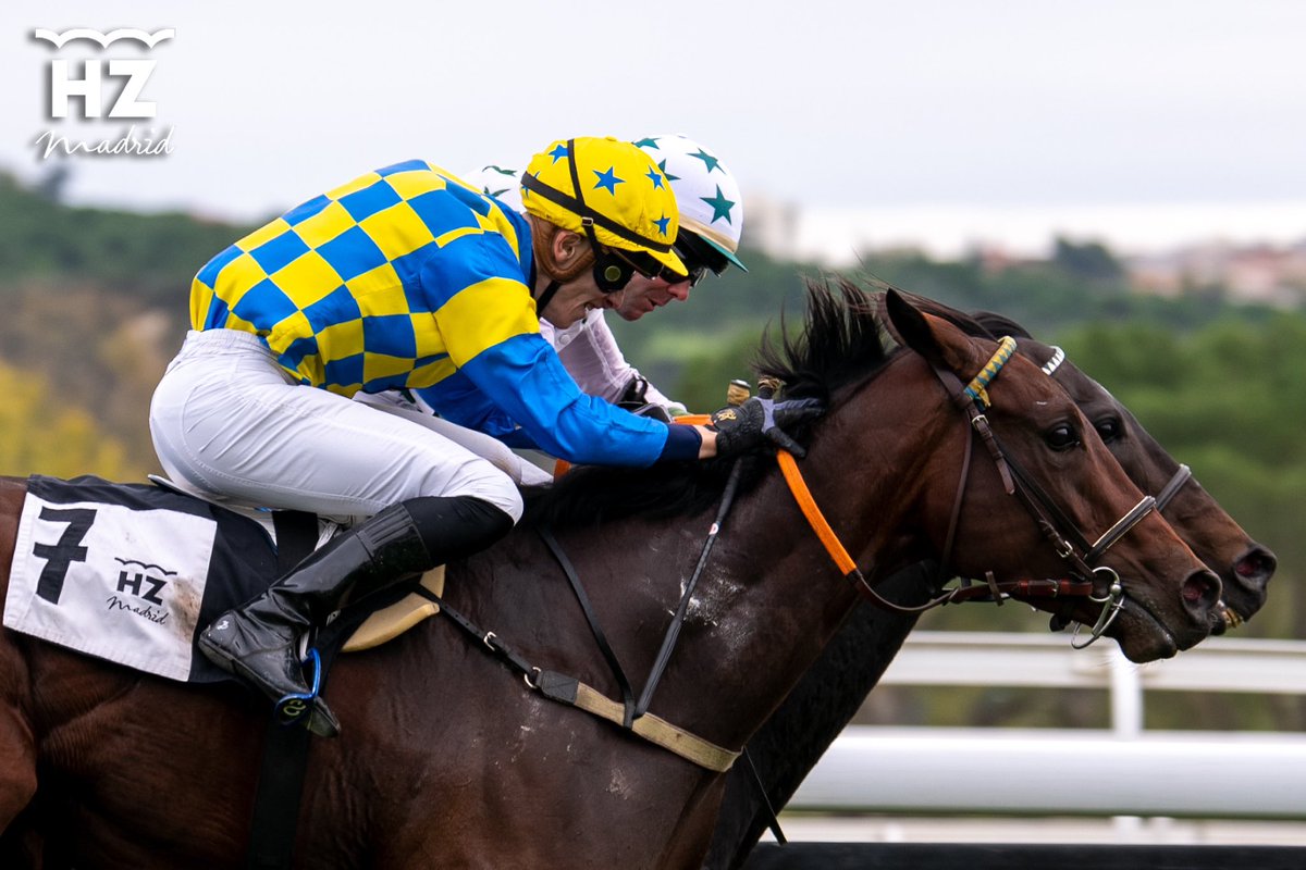 HipodromoMadrid's tweet photo. Enhorabuena a la Cuadra AFF (Tony Forde) por la victoria de SOMERSUN (Sommerabend) en el Premio Young Tiger.
Preparación de Paquito Rodríguez, monta de @antoine_werle.
👏🥇🏇 https://t.co/CMrGzzOxzY