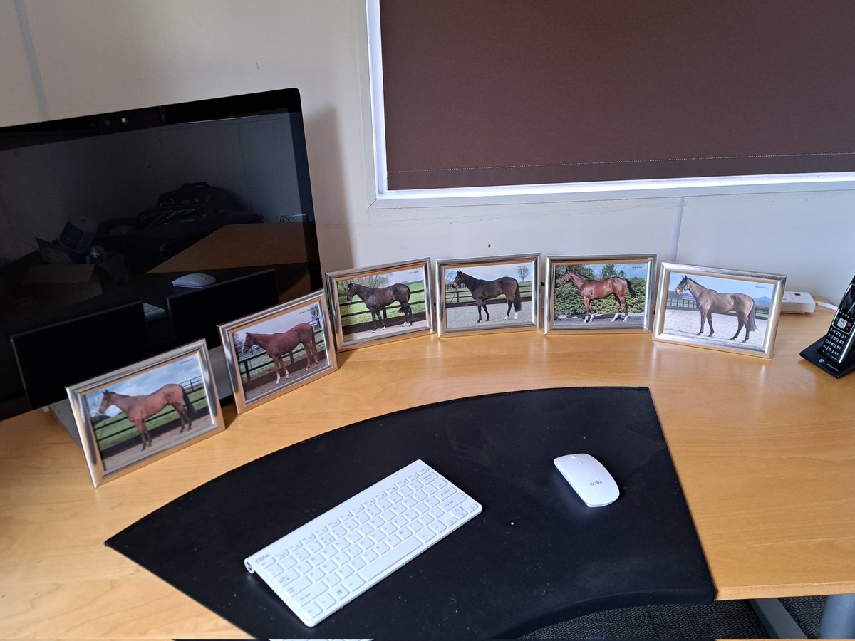 petshavenWR2's tweet photo. My Owners Group horses stable. Lucky 6, hopefully soon to be the magnificent 7. Loving the owners group. #ownersgroup https://t.co/1d8JjrwQeY