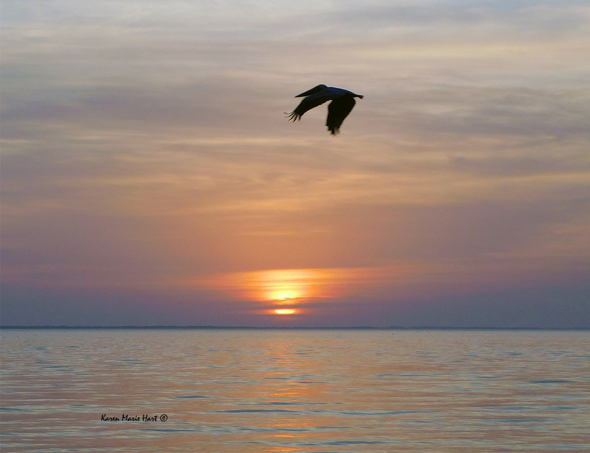 Have a Peaceful Sunday. 🧜‍♀️💞🕊️ #PeaceForAll #NaturePhotography 🏝️ #GentleWaves #Happiness