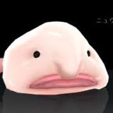 qulfty's tweet image. ？