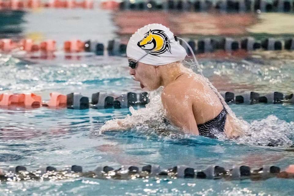 MVHS Girls Swimming&Diving tweet media