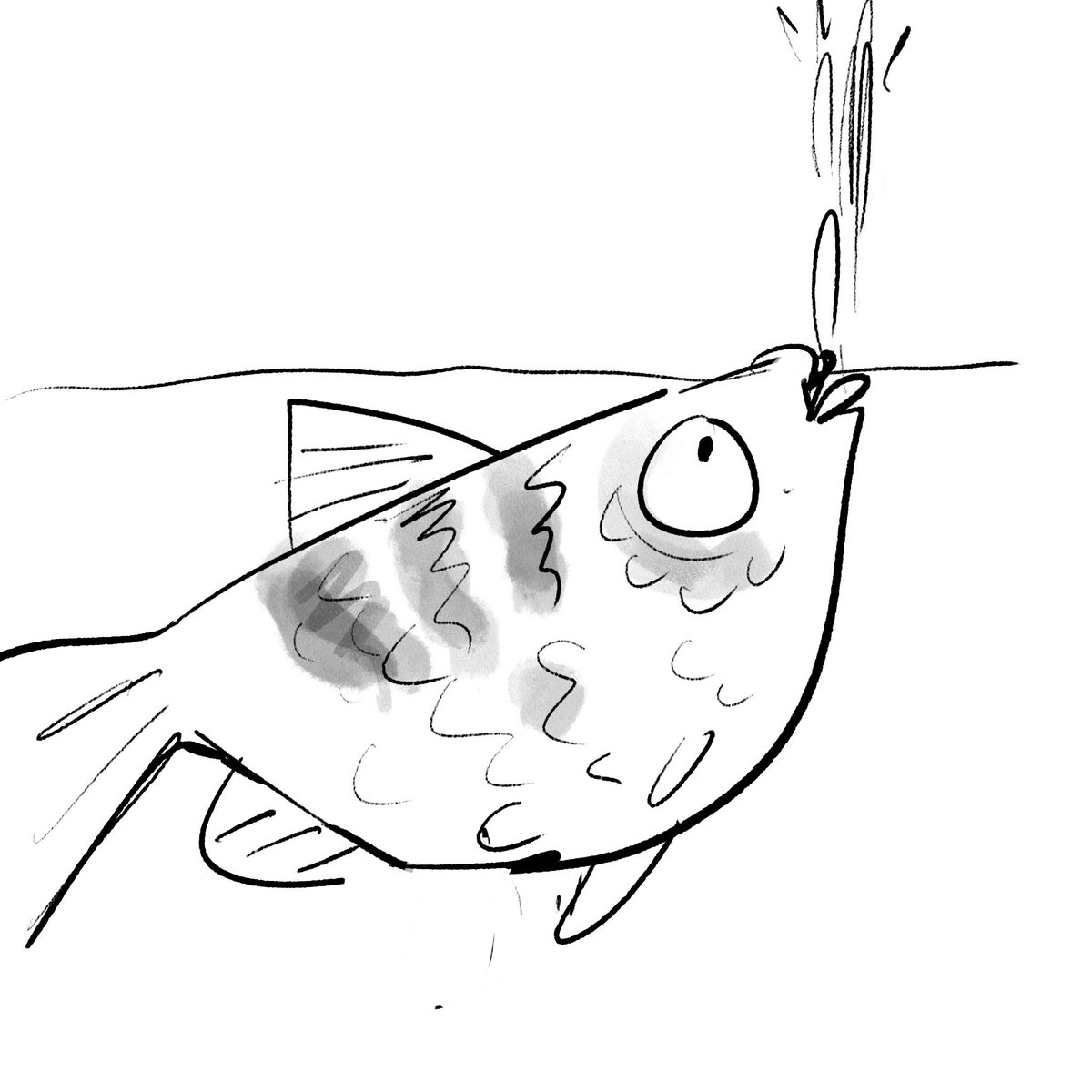 cartoonsidrew's tweet photo. Squirty archer fish are cool #planetearth3 https://t.co/Tt1tkn0BXR