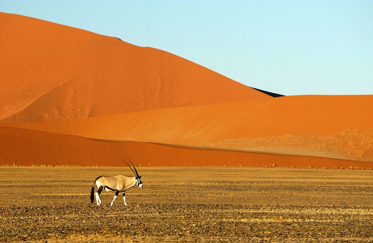 'Visit Namibia. It's a jewel unknown to most North Americans.' - Marlene #jwtraveltip #solotravel Read more here: buff.ly/3FpBcvB buff.ly/405qjsa