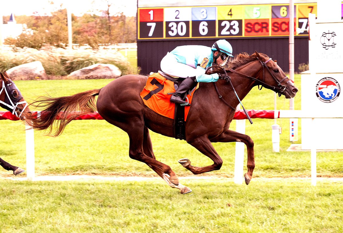 Maryland Horsemen (@mdhorsemen) on Twitter photo Sanderson, 2YO Collected colt, takes early lead and never back under <a href="/itz_lil_g/">Kevin Gomez</a> to win MSW at 1 1/16M on turf <a href="/LaurelPark/">The Maryland Jockey Club, Inc.</a> in third start. Owned by <a href="/MadaketStables/">MadaketStables</a> and trained by <a href="/GrahamMotion/">GrahamMotion</a>. (Jim McCue 📷) Sanderson, 2YO Collected colt, takes early lead and never back under <a href="/itz_lil_g/">Kevin Gomez</a> to win MSW at 1 1/16M on turf <a href="/LaurelPark/">The Maryland Jockey Club, Inc.</a> in third start. Owned by <a href="/MadaketStables/">MadaketStables</a> and trained by <a href="/GrahamMotion/">GrahamMotion</a>. (Jim McCue 📷)