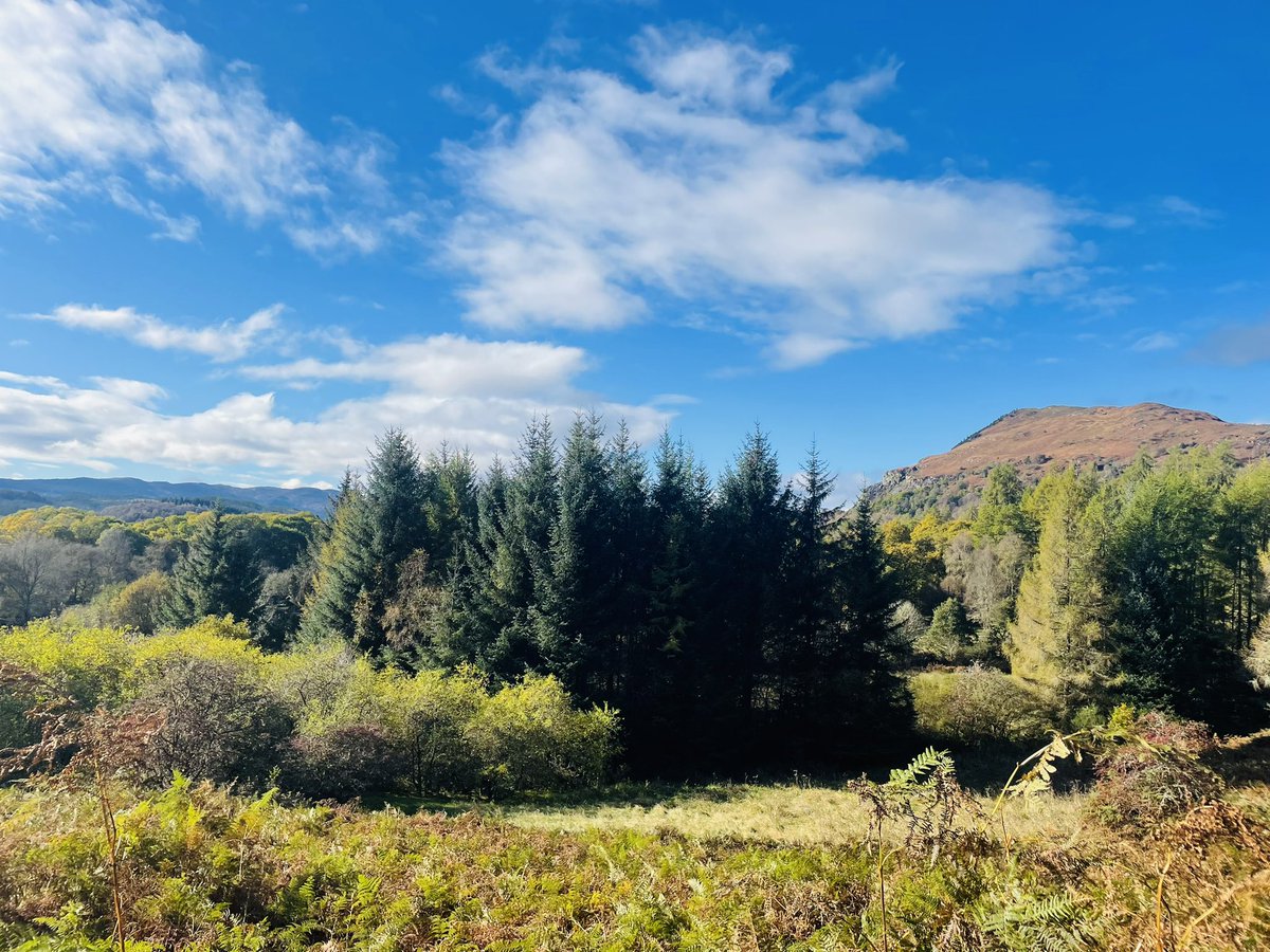 Emma Proctor tweet media