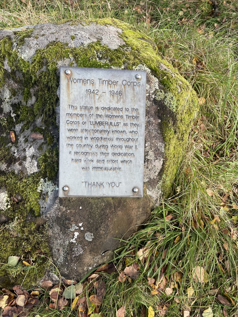 Emma Proctor tweet media