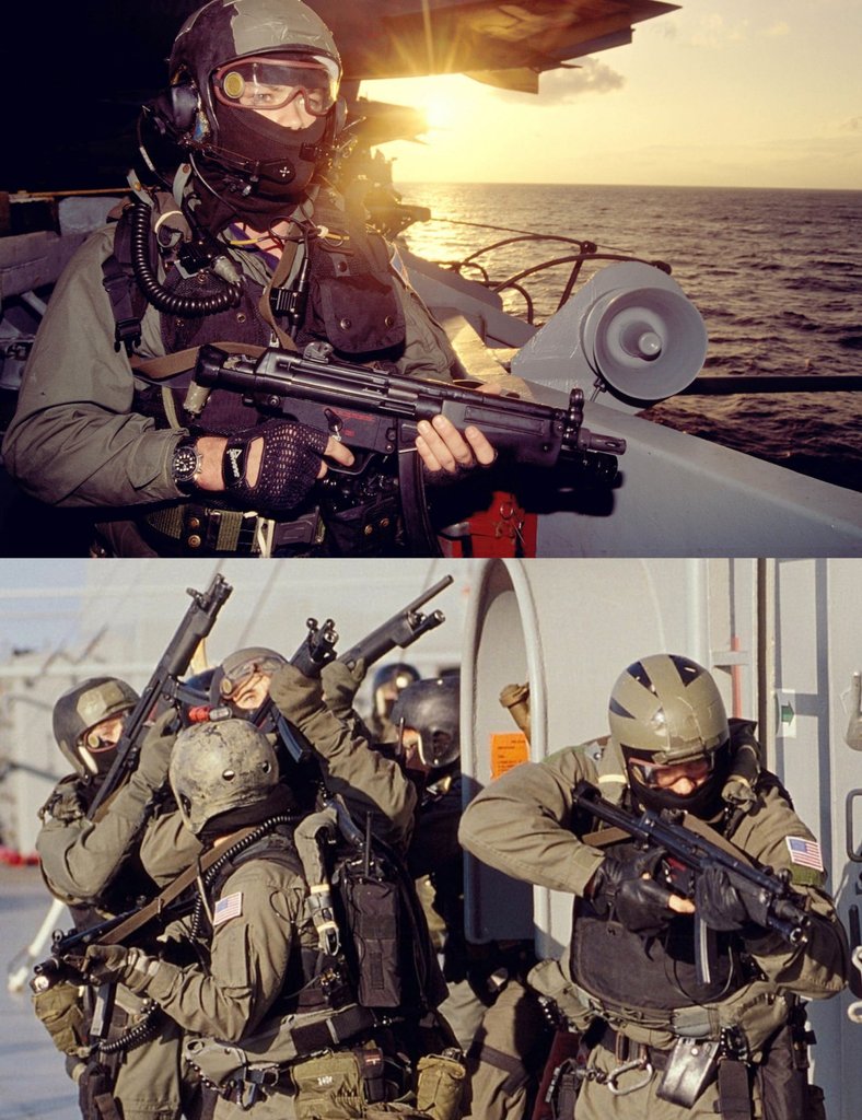 Remnantize's tweet image. SEAL Team VBSS