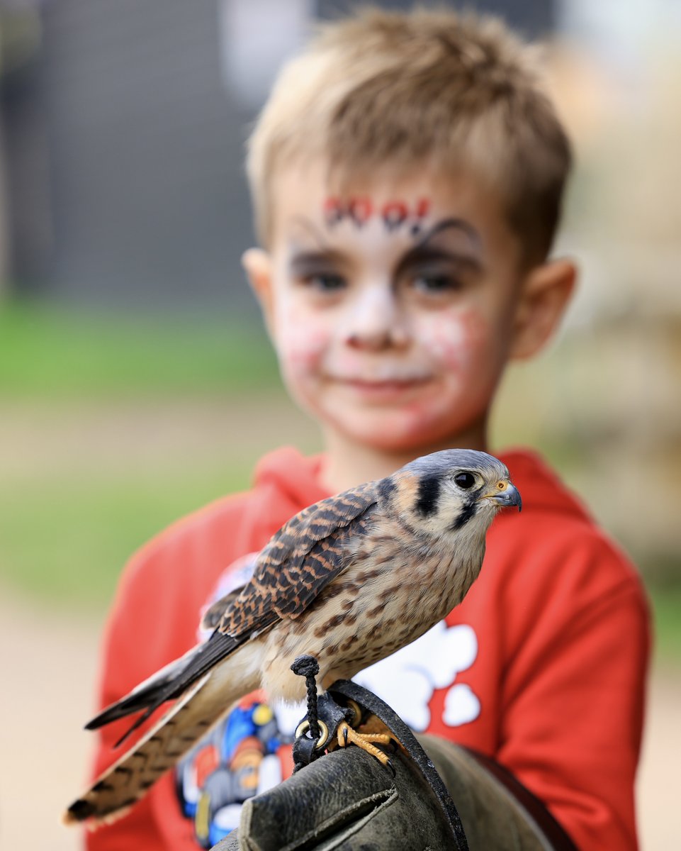 Bocketts Farm Park tweet media