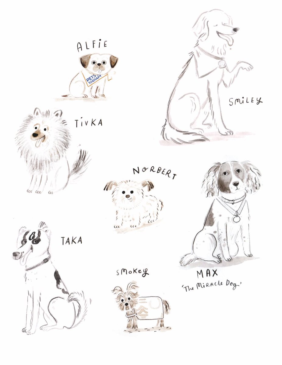 🐶Here are a few research sketches, of some pretty awesome #Therapydogs #AroundTheWorldIn80Dogs 

#dogs #assistancedogs #bookresearch