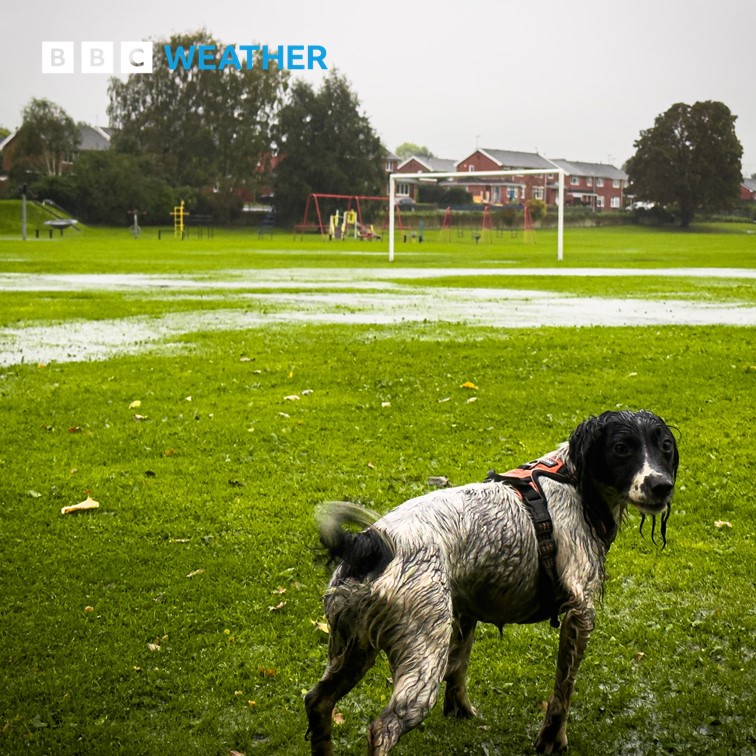 BBC Weather tweet media