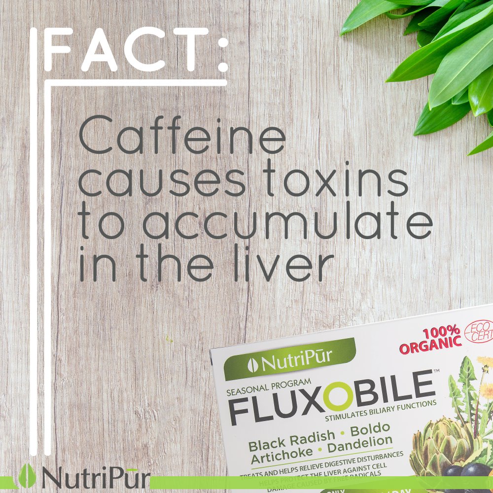FACT: Caffeine causes toxins to accumulate in the liver. FluxOBile bit.ly/2mVuU22  
#livercleanse #detoxcleanse #bodytoxins #allorganic #organiccleanse #feelingcleanagain #squeakyclean #cleanfromtheinside #hangovercure #liverdetox #heartburn #baddigestion