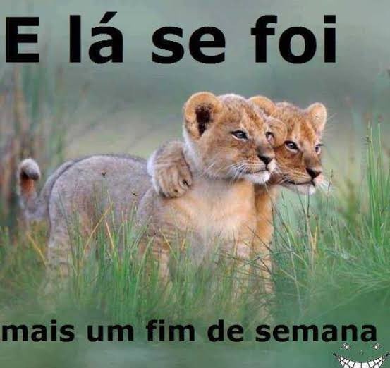 tomás (@tomascringe2) on Twitter photo 