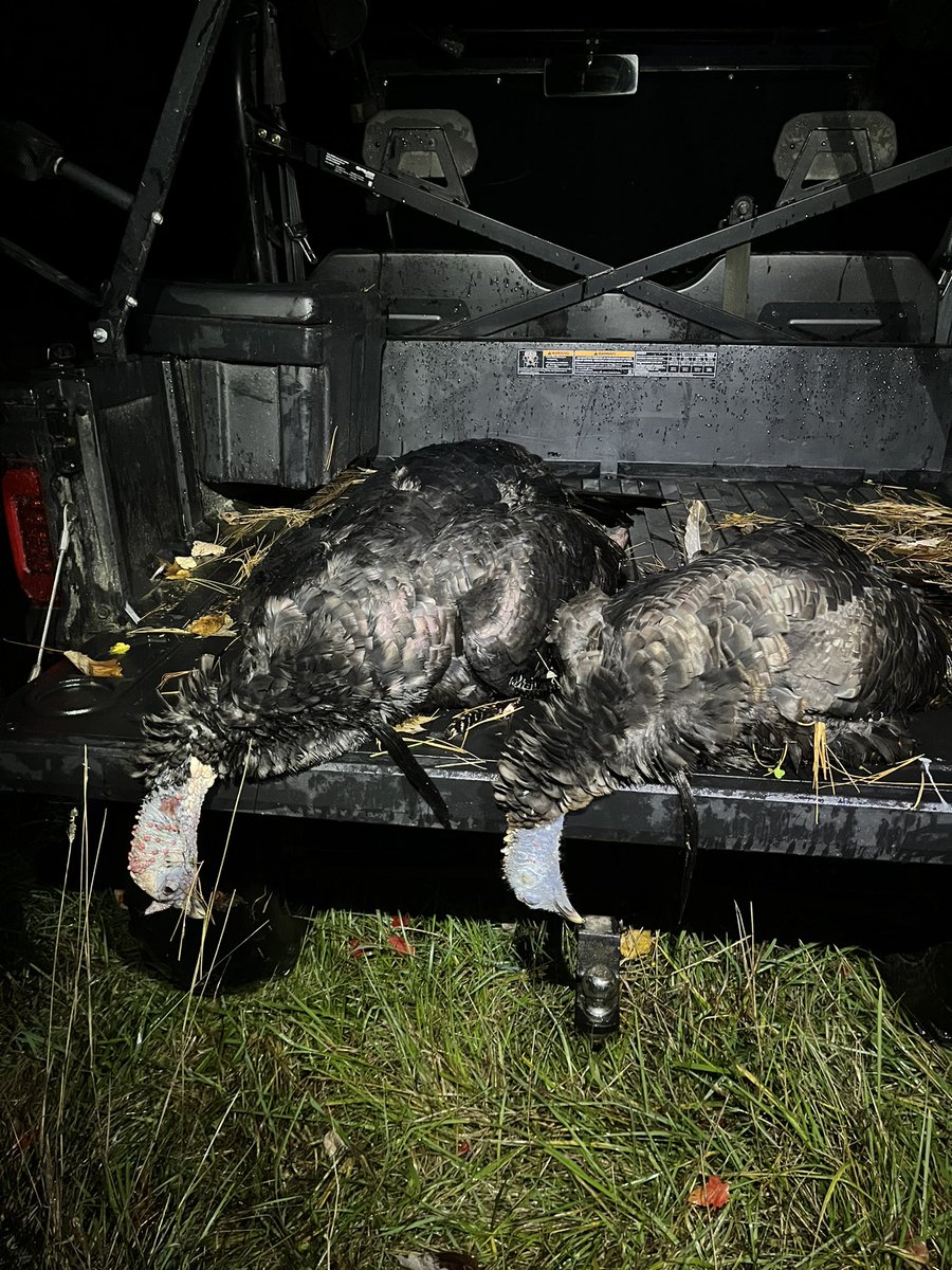 HabidyLodge's tweet photo. Last night was a good night with the stick &amp; string! 2nd bearded hen in HL history. https://t.co/eCK4aUIJFk