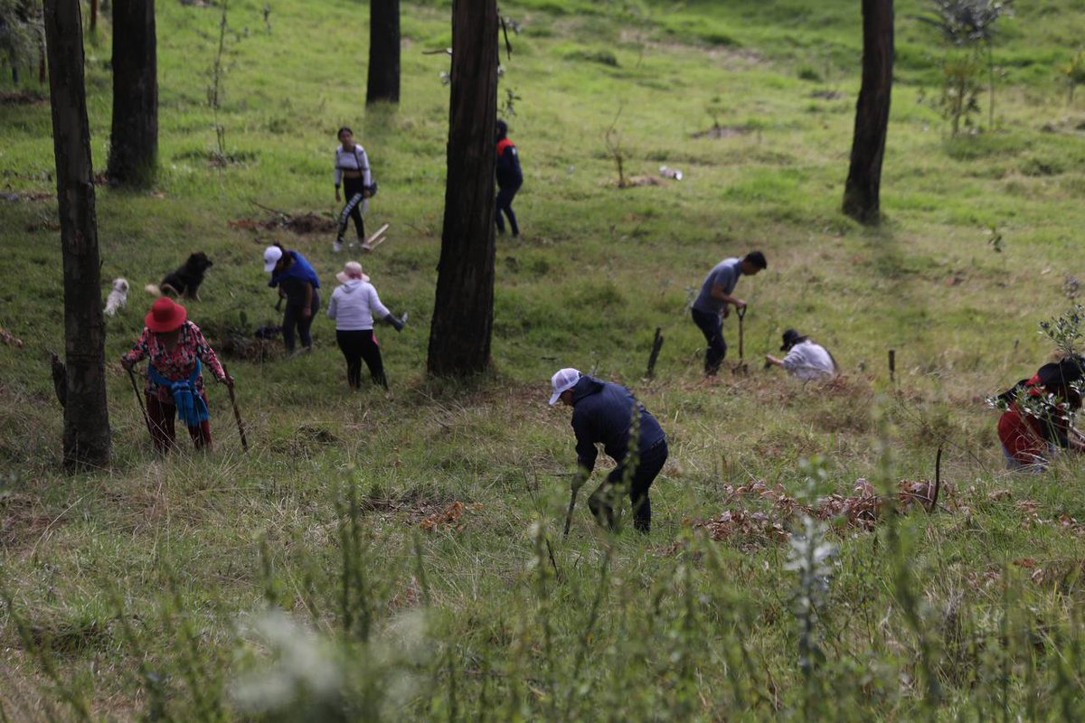 MunicipioQuito's tweet image. 🧹🪚⛏️ #DoMinga | Con la participación de la comunidad organizada y personal municipal, hoy se realizó la DoMinga en la que se limpió, pintó, y recuperó integralmente 14 parques de 9 administraciones zonales.

#QuitoRenace