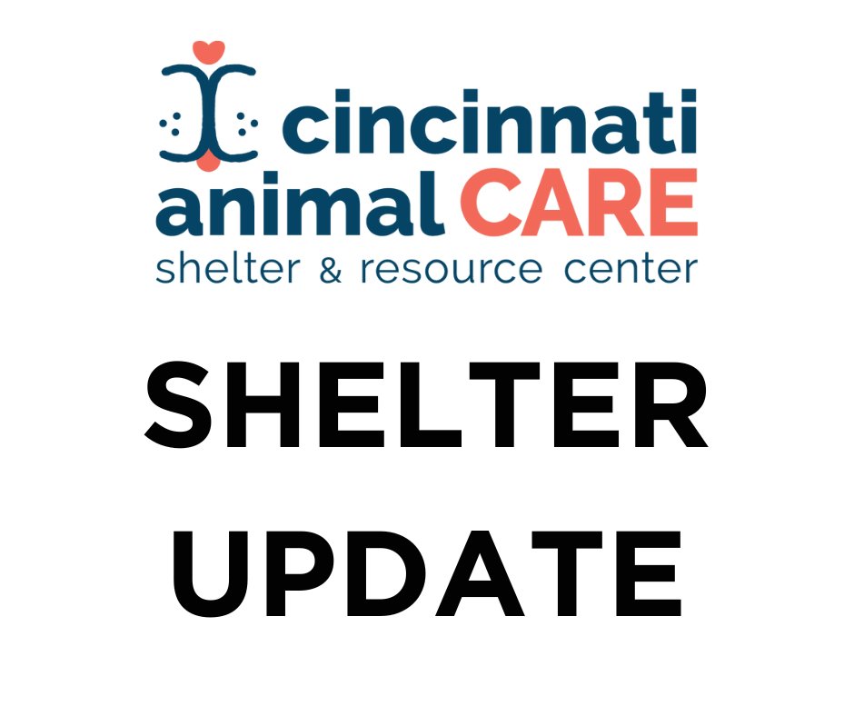 Dog adoptions paused today at CAC. Kitty City remains open as normal at 4210 Dane Ave. Full Statement on our FB Page: facebook.com/CincyAnimalCAR…