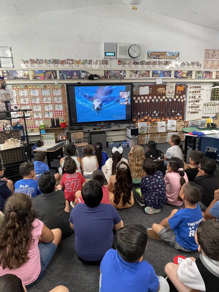 katpicky's tweet photo. Our students has a fantastic virtual field trip to prepare for our upcoming Crystal Cove in person trip. @portsprogram https://t.co/8tKpIccKnh
