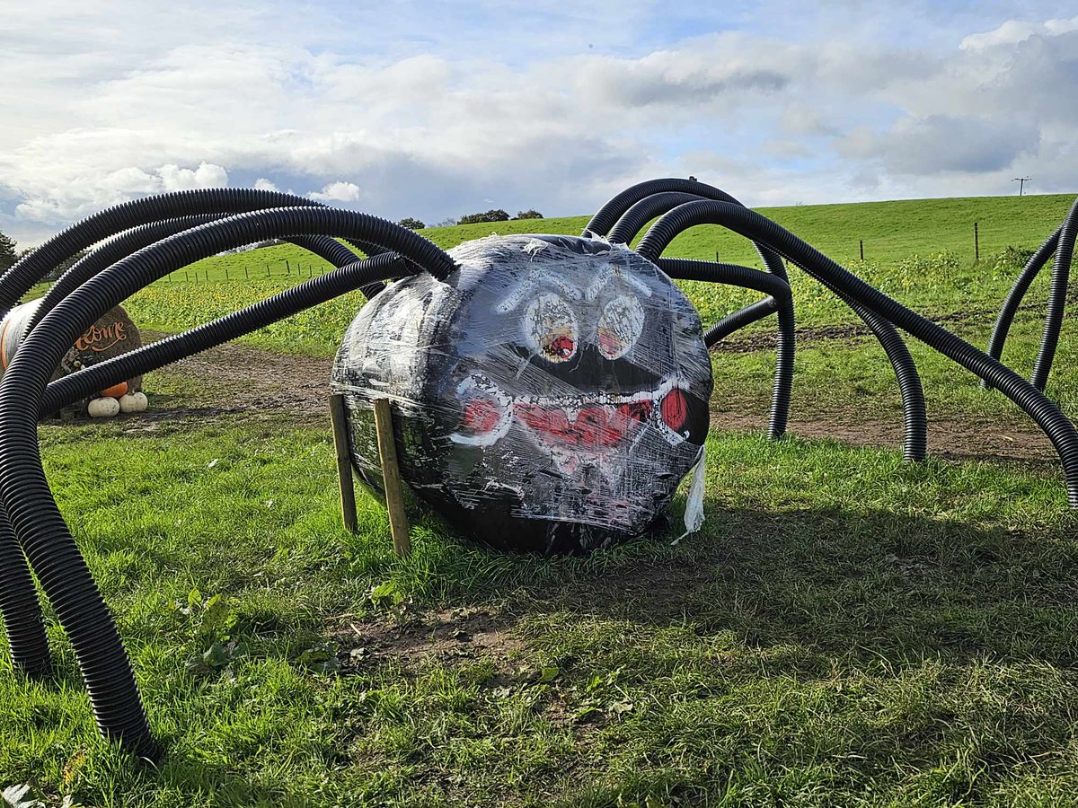 Walkthrough Neath Port Talbot tweet media