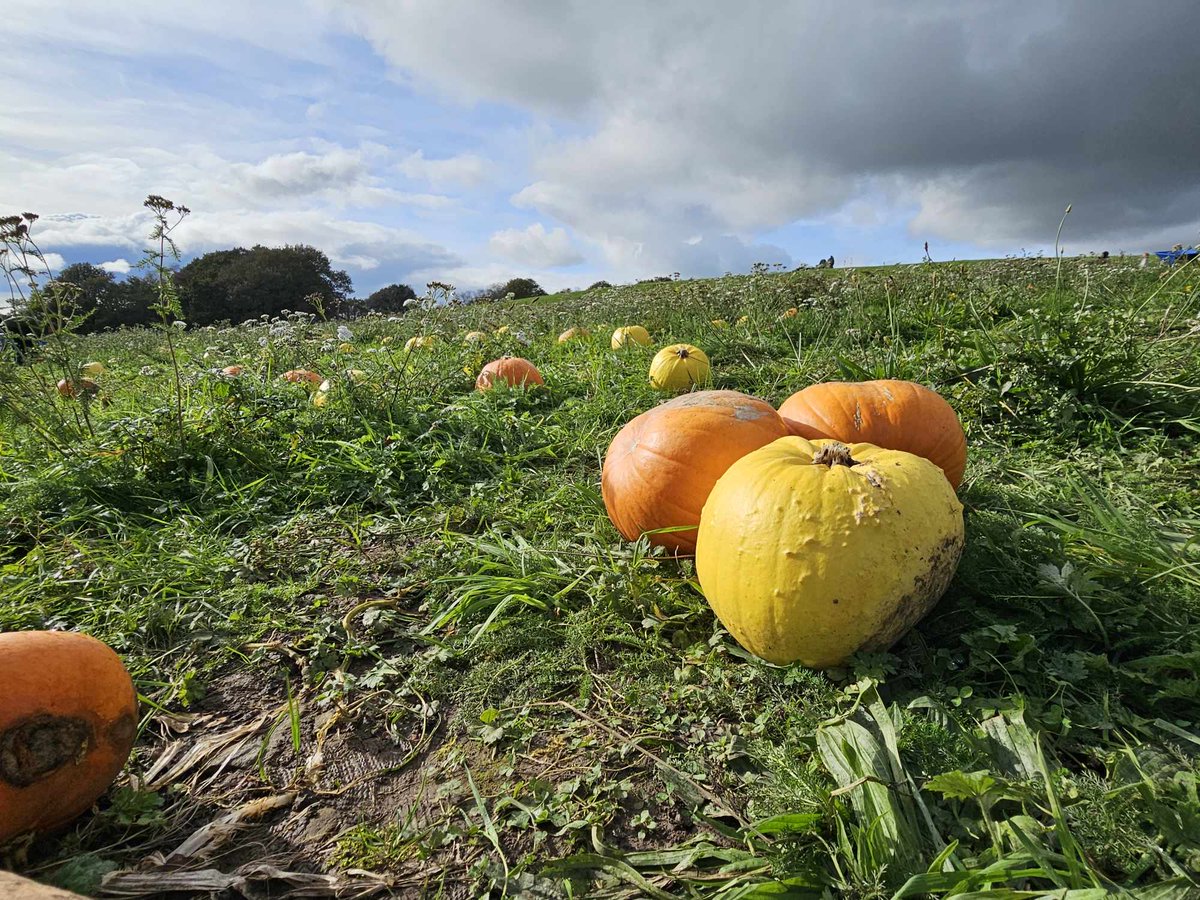 Walkthrough Neath Port Talbot tweet media