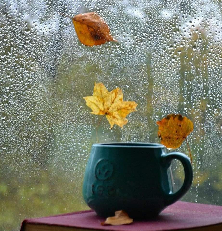 Kış kadınlarının zamanı geliyor...Yaz mevsiminin simarikligna ne yapsa ayak uyduramayan kadınların... Yağmur başladığında niyeyse aklına şarkılar gelen kadınların....
#huzurluaksamlar