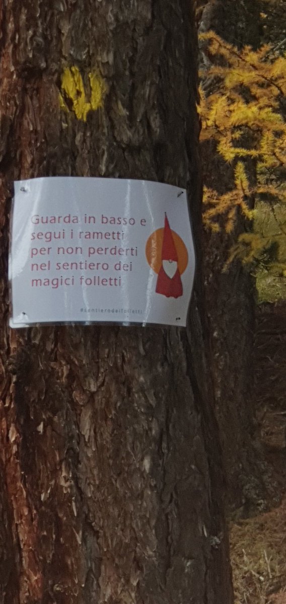 ho tracciato un sentiero, ci ho creduto, ho provato le alternative, individuato la via, l'ho segnato coi colori, tolto ostacoli, messo cartelli e poi convinto altri a percorrerlo. Ho chiesto aiuto, ho impiegato anni ma adesso è bellissimo ed è dedicato a un amico che non c'è più.