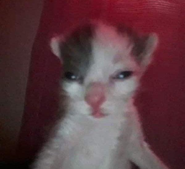 *   stanced up. staring motherfuckerly.