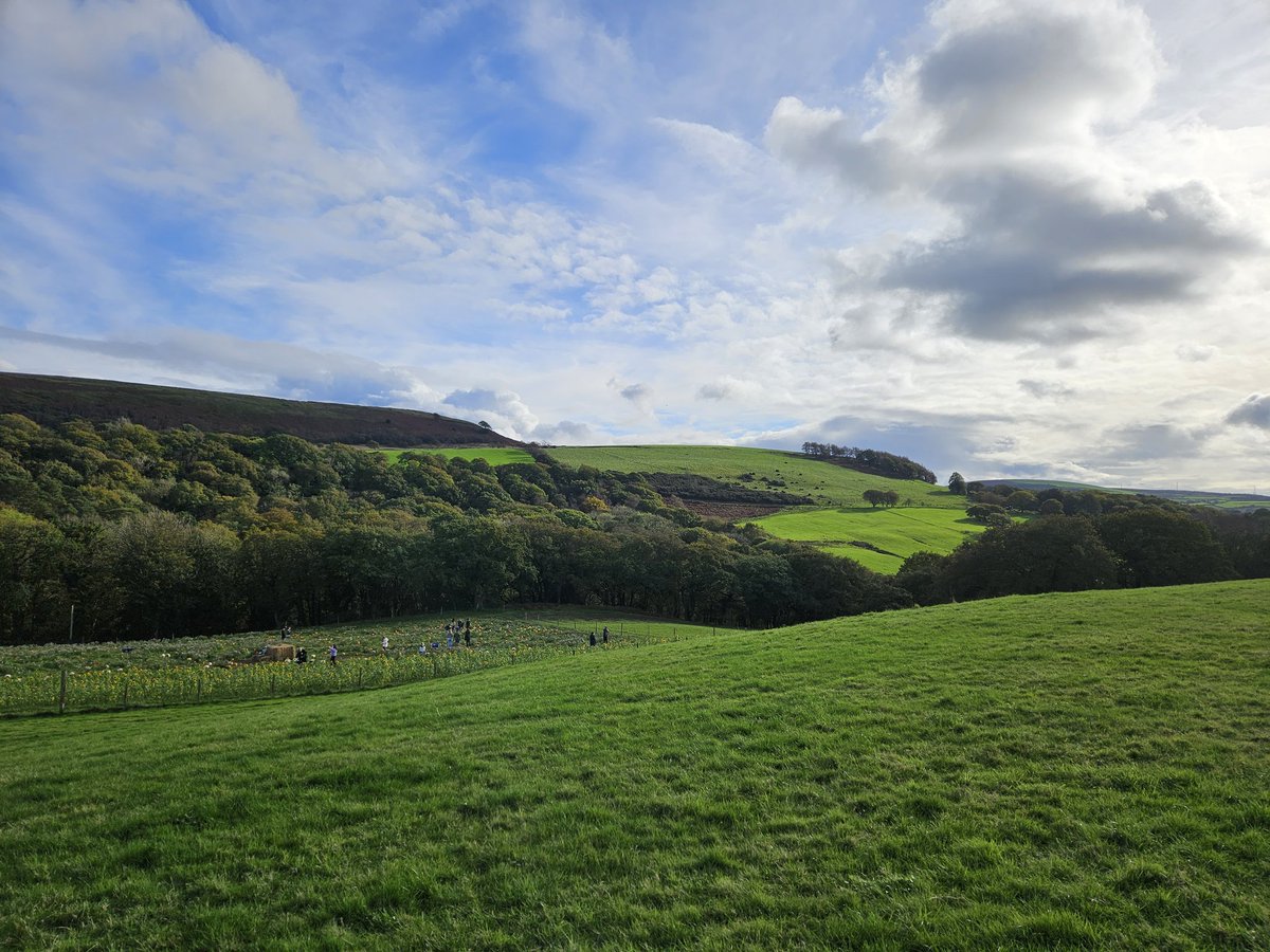 Walkthrough Neath Port Talbot tweet media