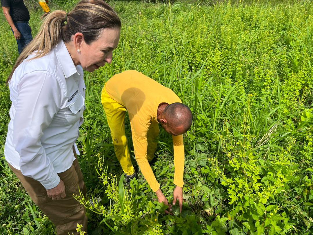 Derecho_paz's tweet photo. Realizamos recorrido por las áreas agroproductivas que están siendo trabajadas por la población privada de libertad así como la rehabilitación de espacios para cría de pollos. https://t.co/t9mOJyIxNi