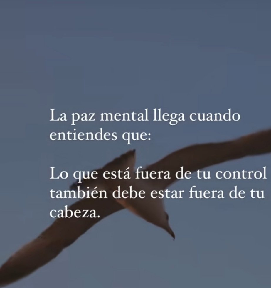 Angela__1961's tweet photo. Feliz comienzo de semana.
#BuenasNochesATodos https://t.co/tRiwINxQpU