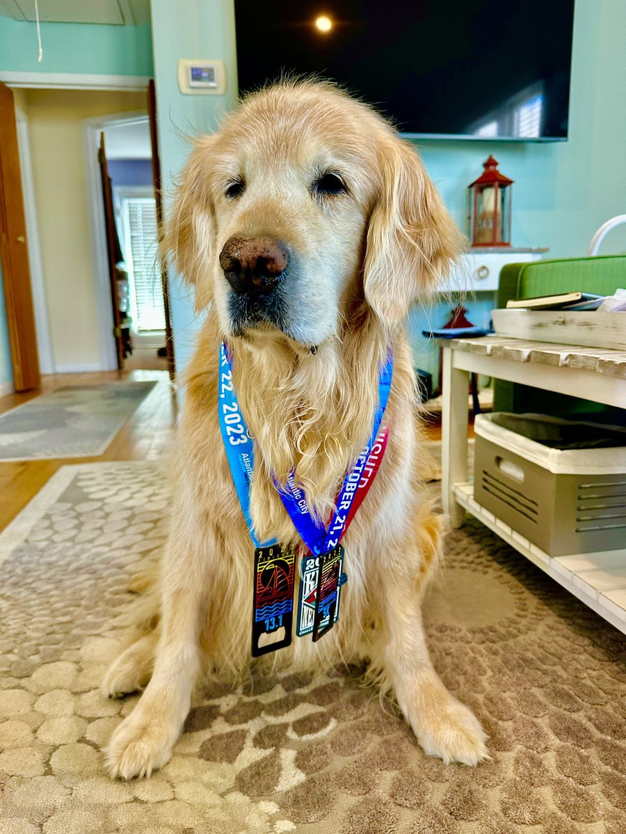 Logan & Shadow😇the Goldens tweet media