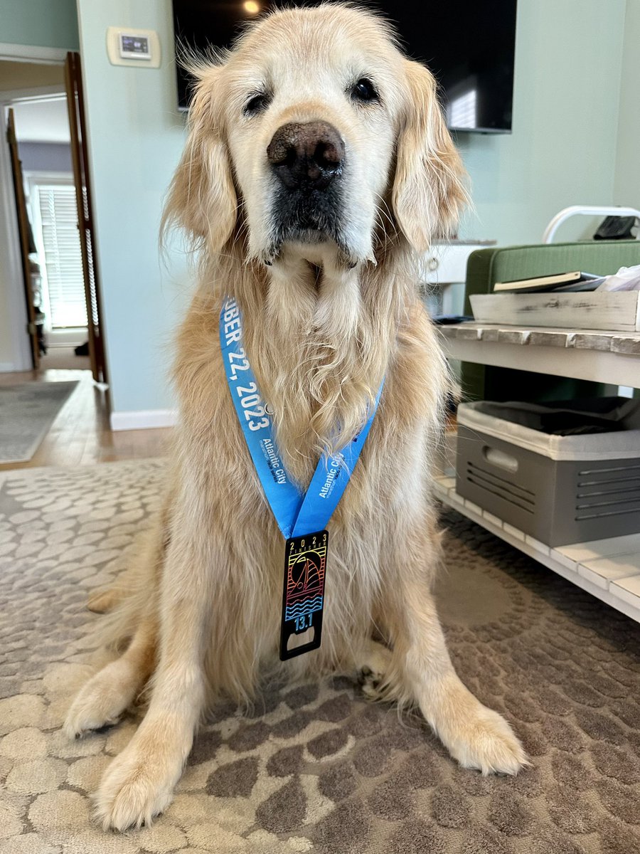 Logan & Shadow😇the Goldens tweet media