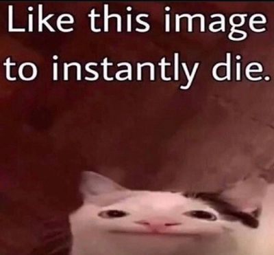 Alan Hardeman tweet media