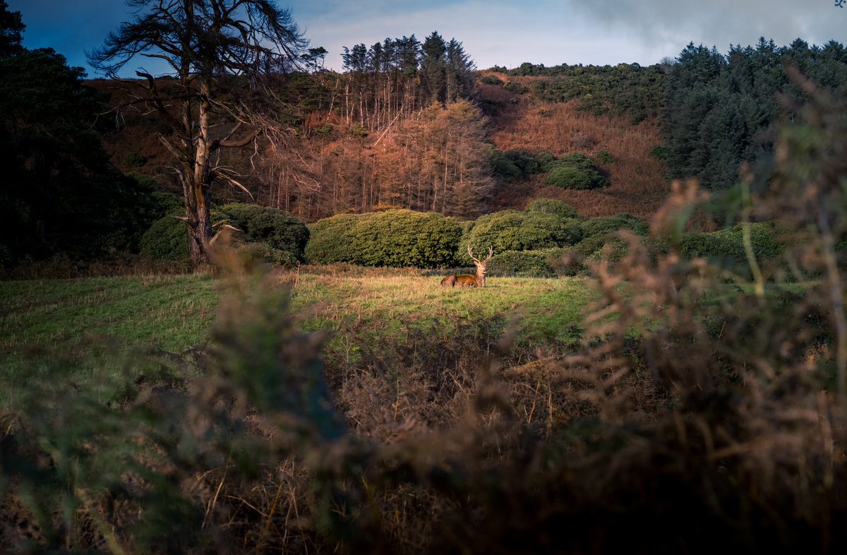 The time I go out and don’t take a long lens -great! #photograghy #Nikon #nature #landscape <a href="/TPGallery/">The Photographers' Gallery</a> <a href="/OPOTY/">Outdoor Photography</a> <a href="/ThePhotoHour/">#ThePhotoHour</a>