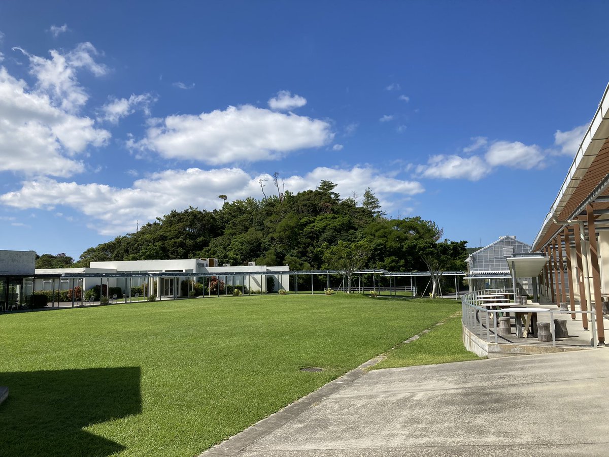 ok_ritchy's tweet photo. AgriParkでLunch😋
お花のサラダ香りがよくて美味しい🥗 https://t.co/YMJsJ5we2a