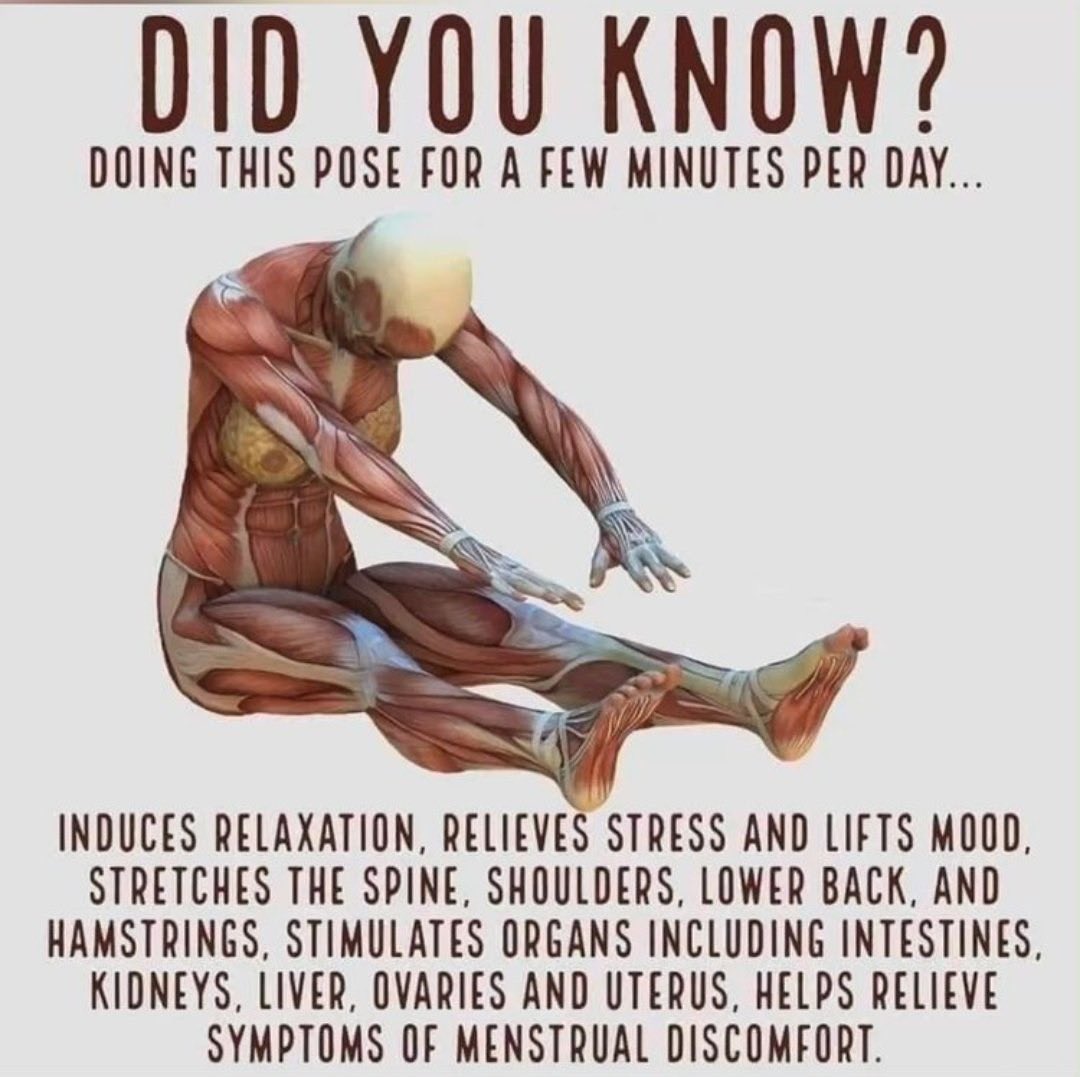 FitLifeSkool's tweet photo. 7. https://t.co/vgrgFUU7dW