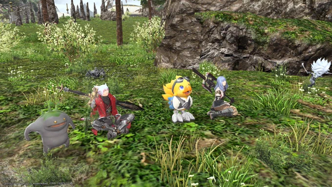 ルーファくんと旅するアルファを探す旅してきた