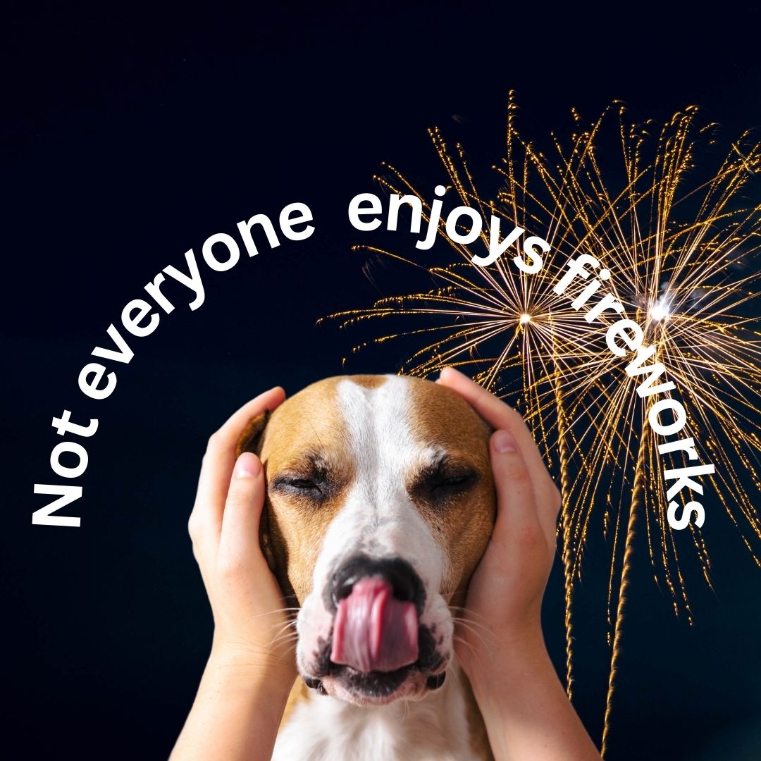 BroadreachN's tweet photo. With Guy Fawkes just around the corner remember to sign up to our newsletter for great advice on keeping your pups safe and calm - after all not everyone likes fireworks. #FireworksCare #calmdogsarehappydogs

https://t.co/5YS5WnL7sG https://t.co/brLV1Z9z48