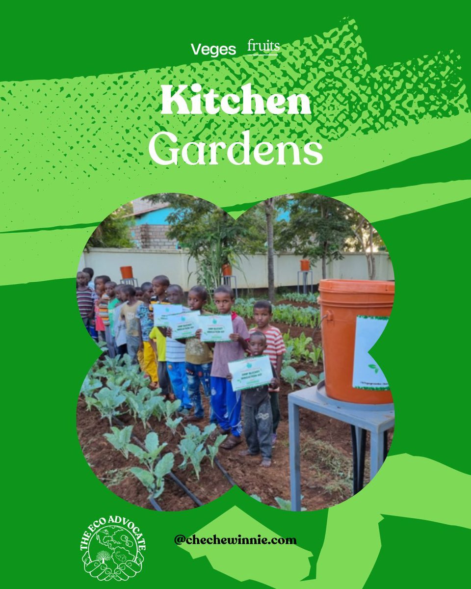 WinnieCheche's tweet photo. Success stories of climate action inspire hope and motivate us to do more. Join the movement for a greener, healthier planet. π
#ClimateSuccess #PositiveChange #EcoProjects https://t.co/BrEKDCP6zV