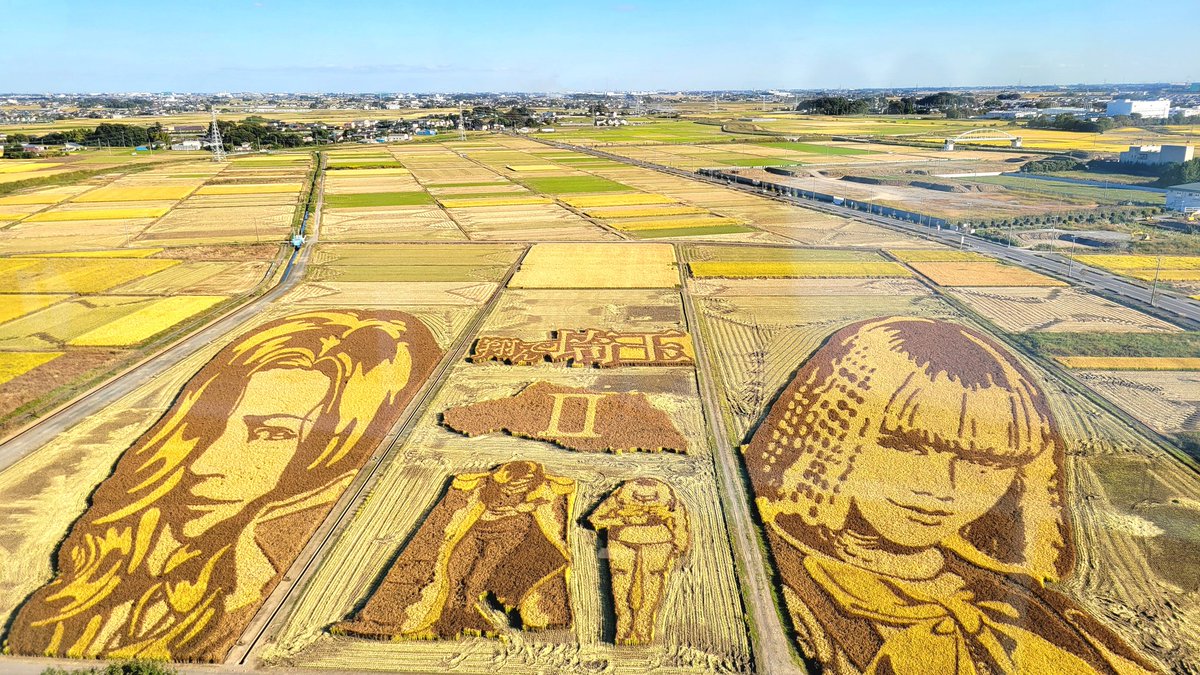 Commuting_rush's tweet image. 壮大な番宣。
【翔んで埼玉】
っにしても凄い‼️

#翔んで埼玉
#田んぼアート