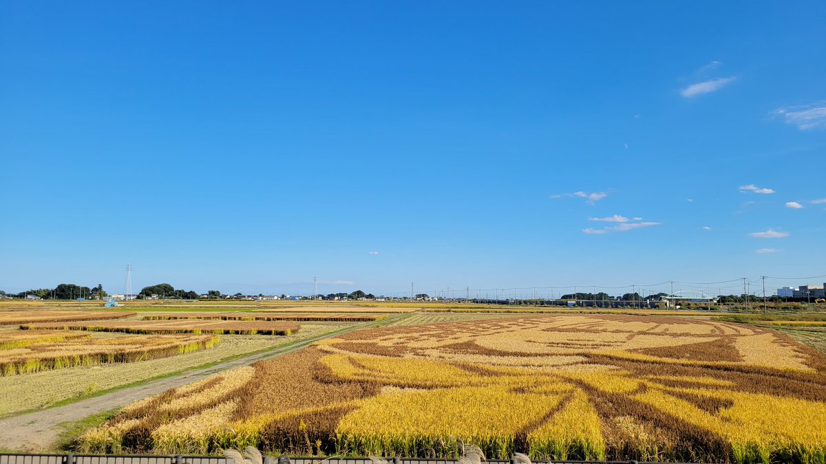 Commuting_rush's tweet image. 壮大な番宣。
【翔んで埼玉】
っにしても凄い‼️

#翔んで埼玉
#田んぼアート