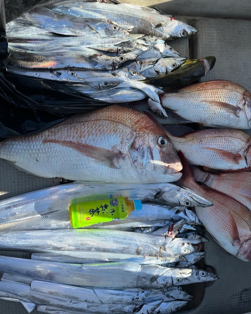 fishing02130's tweet photo. タチウオテンヤ 豊後水道 タイラバ
#豊後水道 
#タチウオテンヤ
#タイラバ https://t.co/sWH2pdiyYU