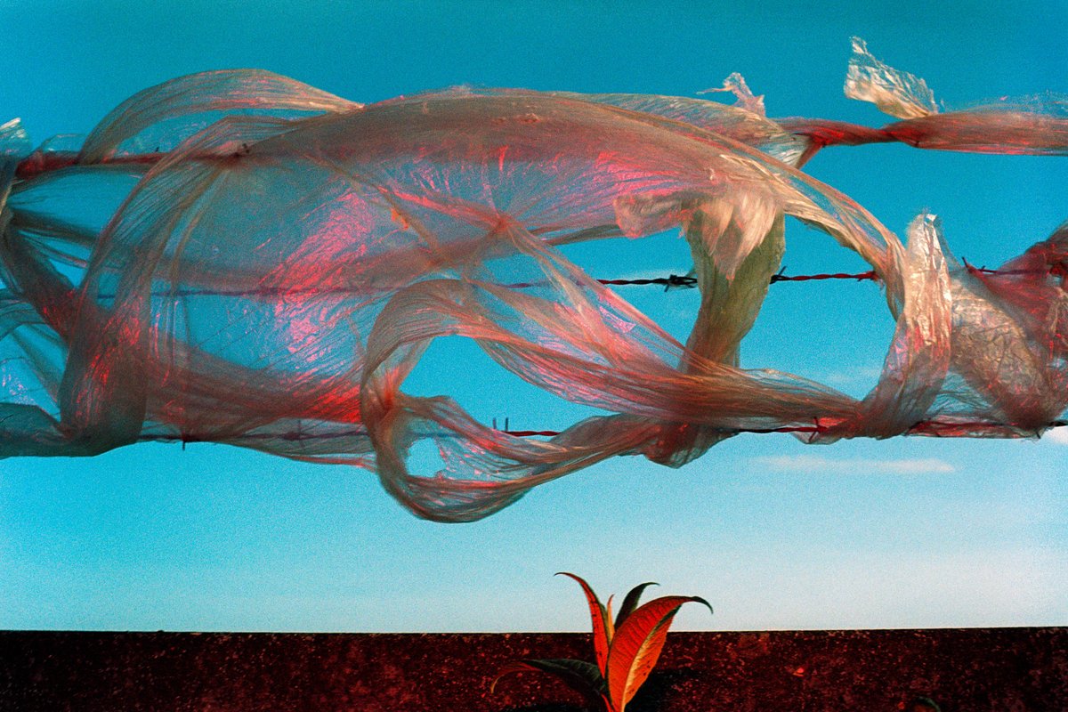 For my personal taste, I don't seek nostalgia in photography. Not at all. I feel it is a little too convenient (from my side, not the creation side). I tend to look at it from color, composition and quality of being interesting angles in general same as other medium. Even when we