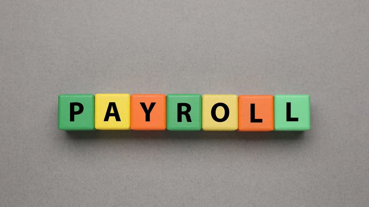 hivepayroll's tweet image. Gain insight into &apos;What is Payroll?&apos; – Uncover the meaning, process, and the HR benefits it brings. Read the full blog posthttps://www.hivepayroll.co.in/what-is-payroll/

#PayrollExplained #HRInsights#HRBenefits #PayrollProcess #WorkplaceFinance #PayrollManagement