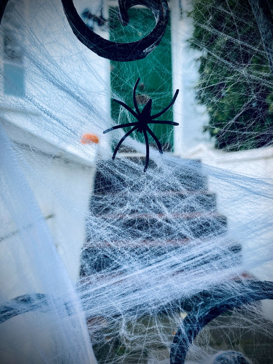 #foodforthought from our friends at @salthaven_org. 
Please avoid using fake spider webs in your #Halloween decor. It’s so easy for wildlife to get injured when tangled up in the webs. Skeletons,💀, 🎃, 🧙‍♀️,there are lots of other just as creepy, but safer alternatives.