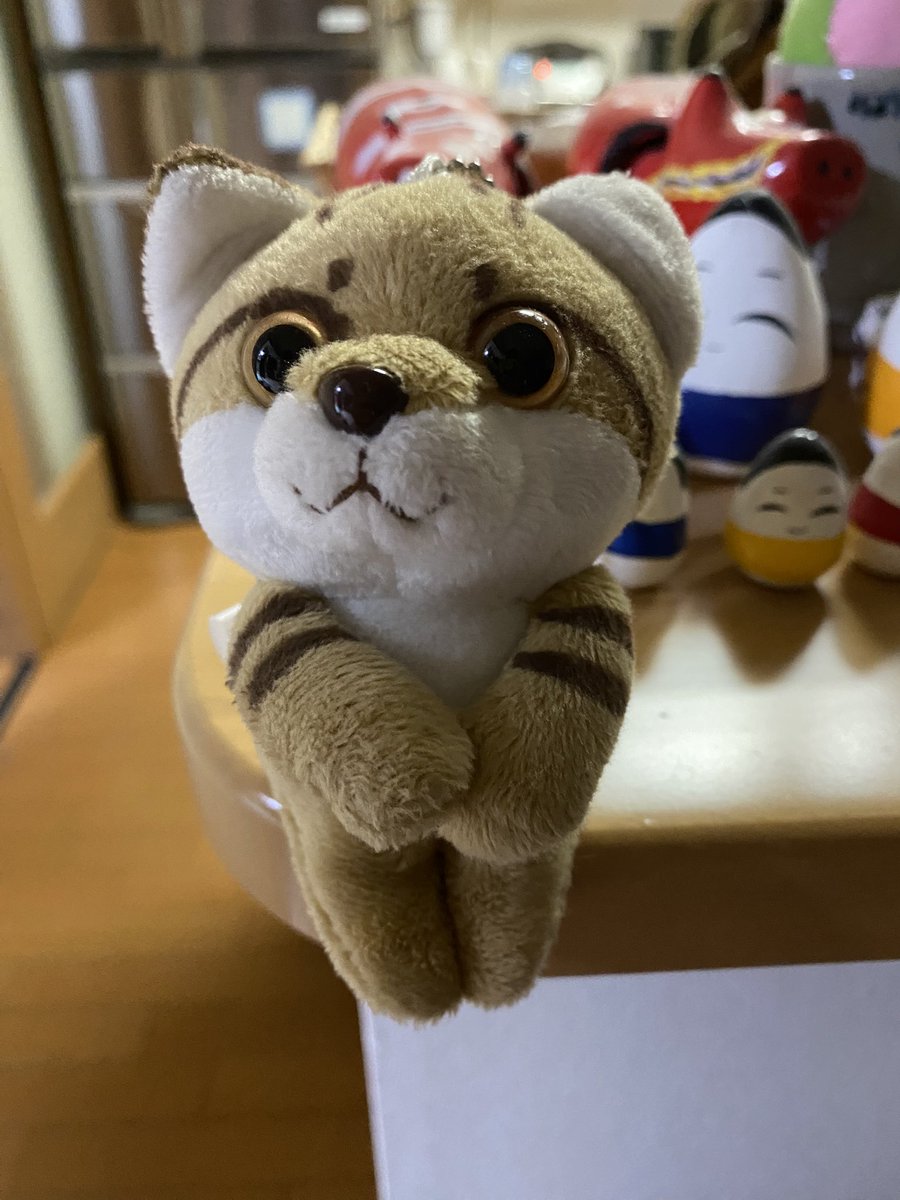 shibasas's tweet photo. 帰ってきました！利府イオンから電話もらって迎えに行きました😭ありがとうございました‼️
おかえり！ https://t.co/jO9HdhGlaC