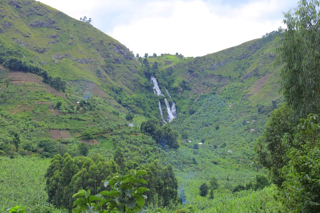 The unique Falls surrounded by banana plantations only found in buhweju @BakiriraShallon @basajjabakaTim1 @quentinebleau @nichotourguide @mugarra @1212Gemma @marvinmiles256 @BakashabaIsaac7 @DestinationUga @HubJaree @misstourismUga @BismacAmumpaire @beckersempebwa