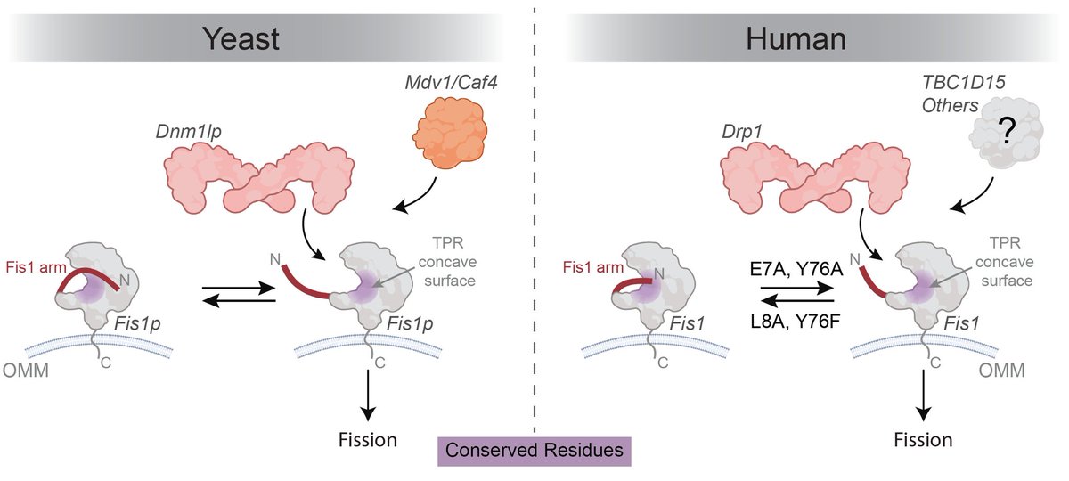 Blake Hill Lab tweet media
